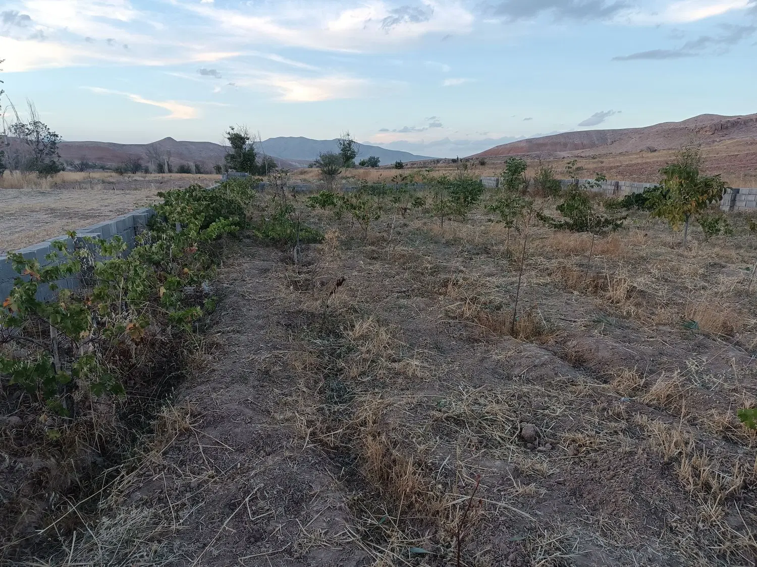 باغ روستای حمید