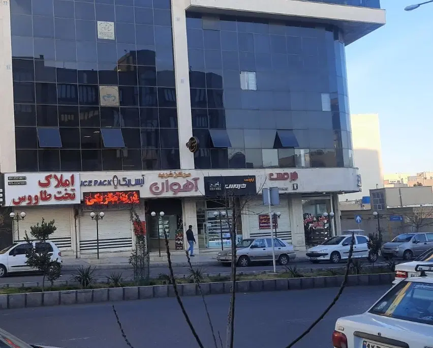 بر باغ فردوس ( ۷۰متری )