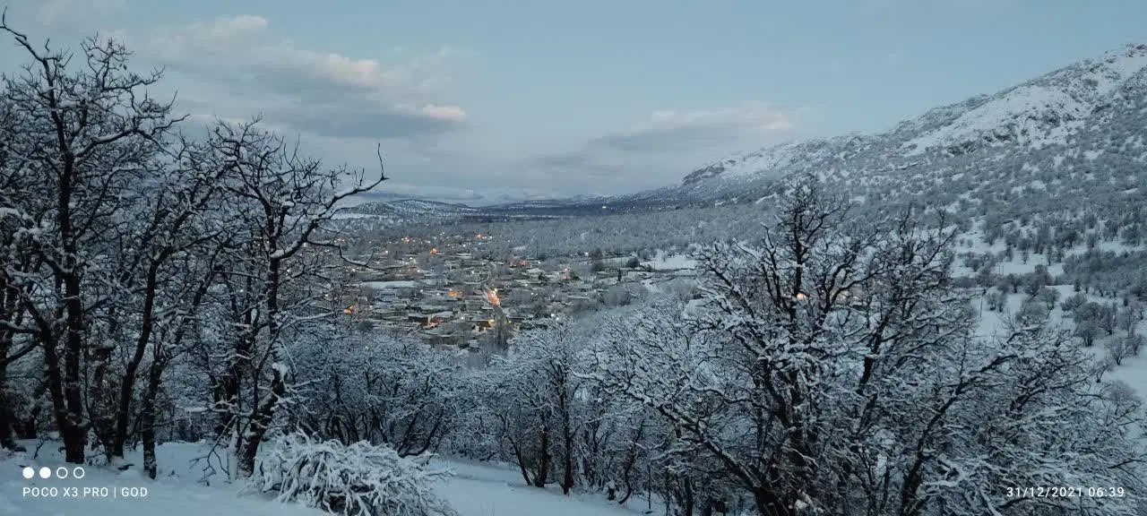 زمین مسکونی،باغ،زمین زراعی