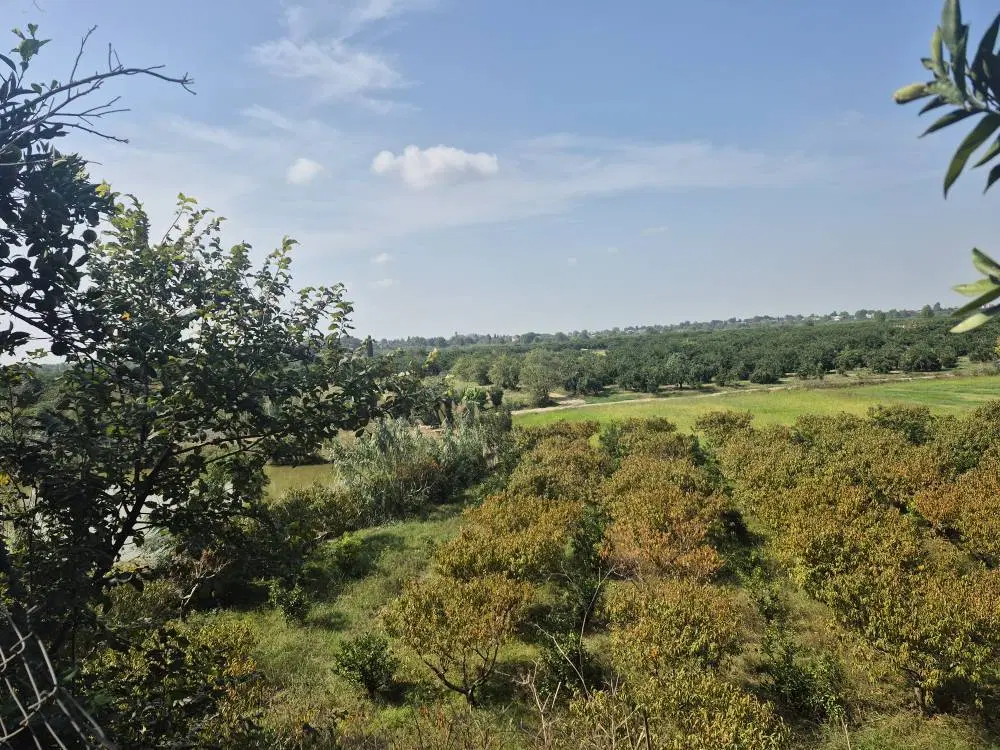 فروش باغ درساری