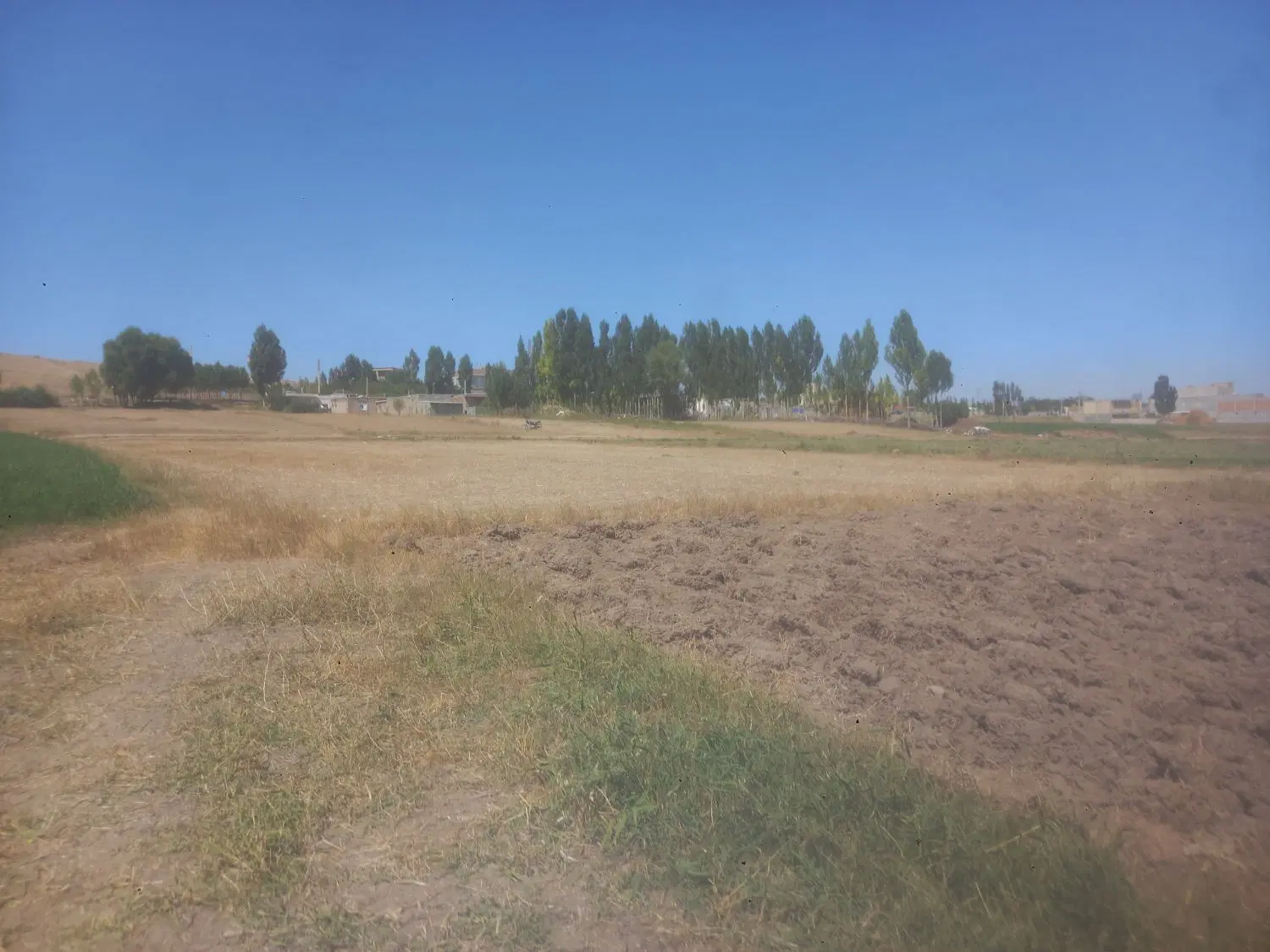 زمین برای باغ و ویلا