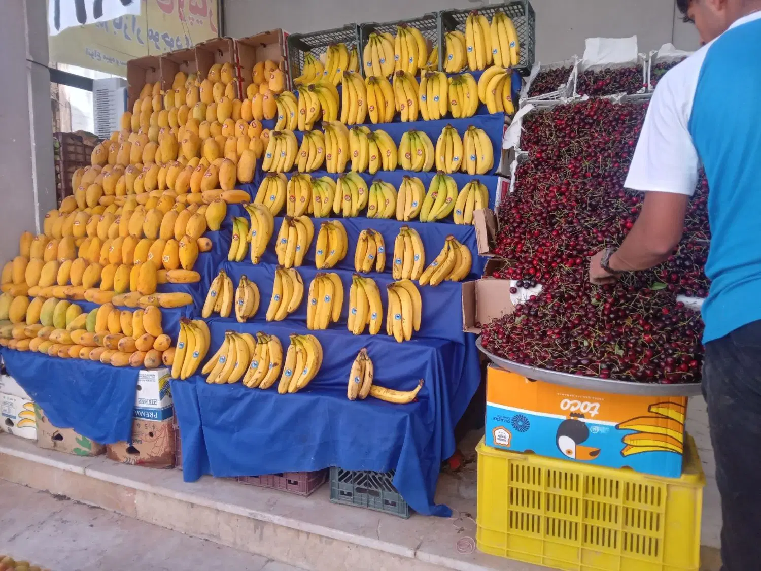 واگذاری میوه فروشی با سود بالا و تضمینی
