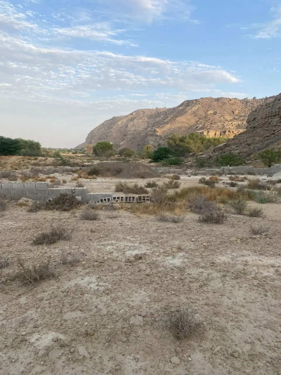 فروش فوری زمین در روستای لکی نزدیک پتروشیمی