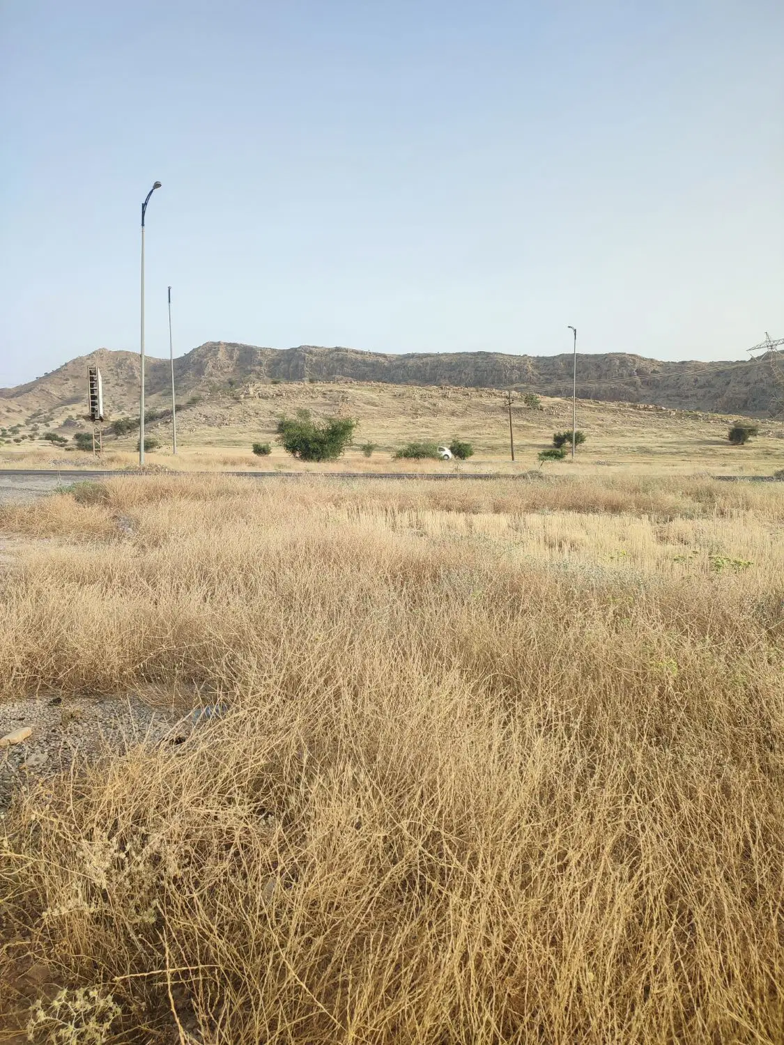 گچساران.. کلاغ نشین سر خیابان اصلی