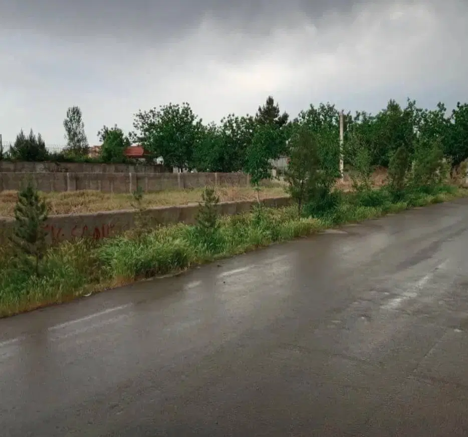 ۵۶۰ متر سند تک برگ بهاران