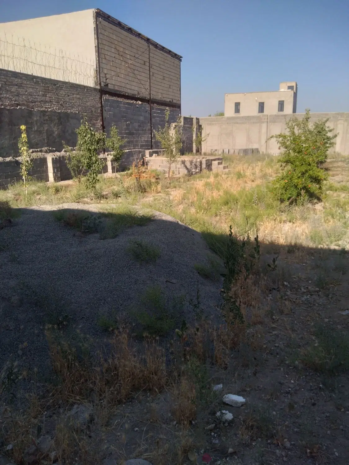 باغچه