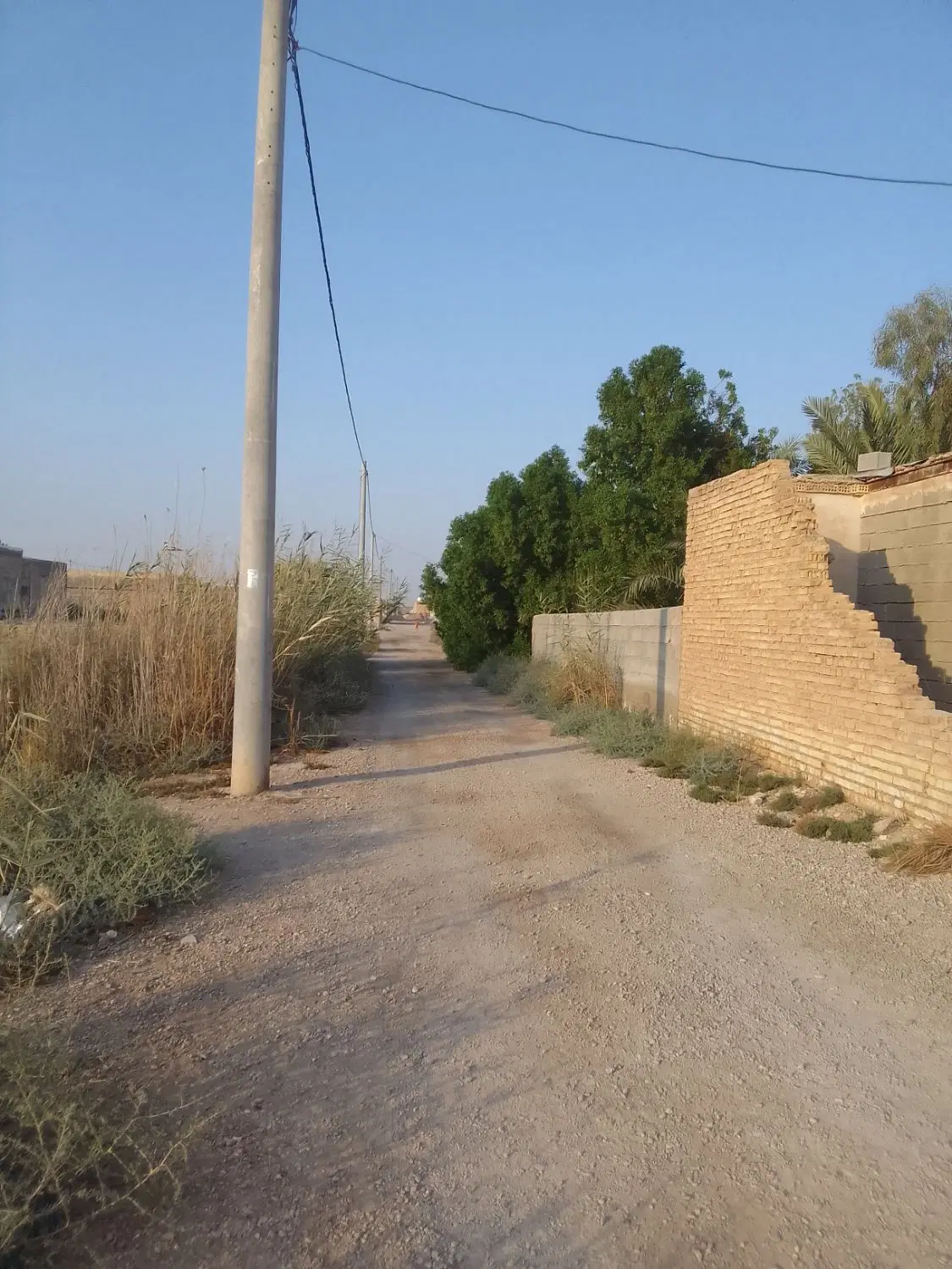 فروش زمین