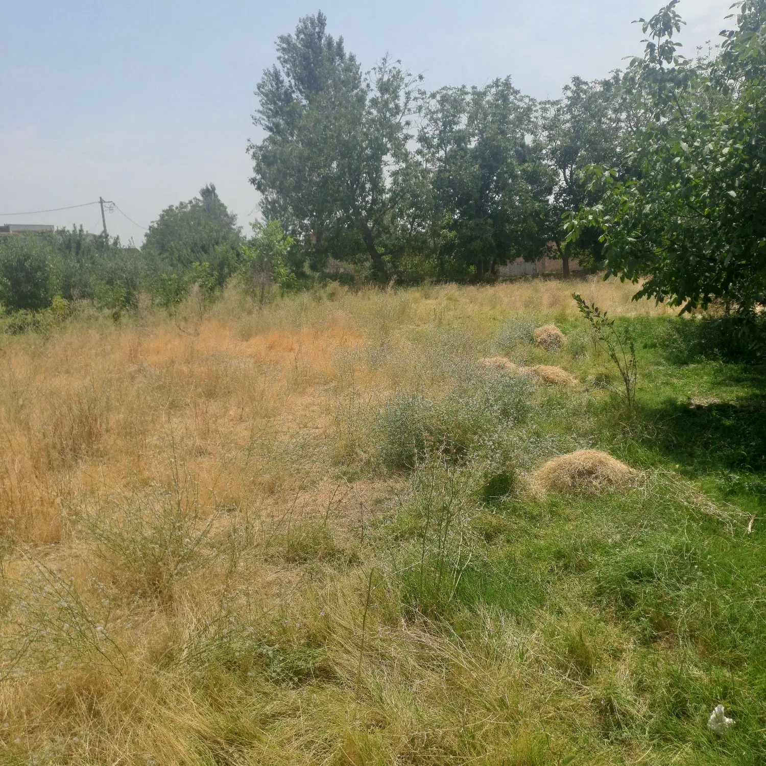 زمین مسکونی