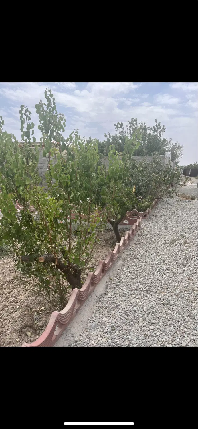 باغچه ۴۳۶متری
