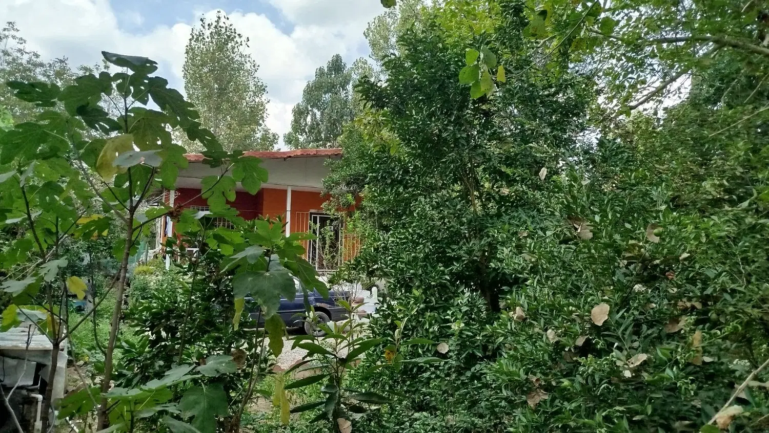 معاوضه یافروش ویلا باغ درقاضیان با آپارتمان در رشت