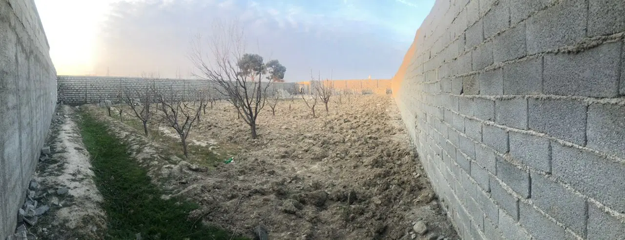 دهشاد پایین 1000 متری کاربری باغ