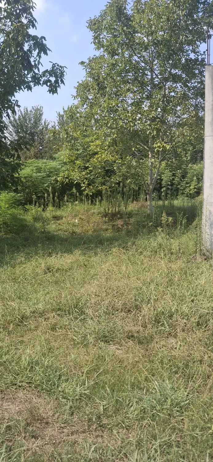 فروش زمین مسکونی شهری ۱۸۴متررشت سنگر