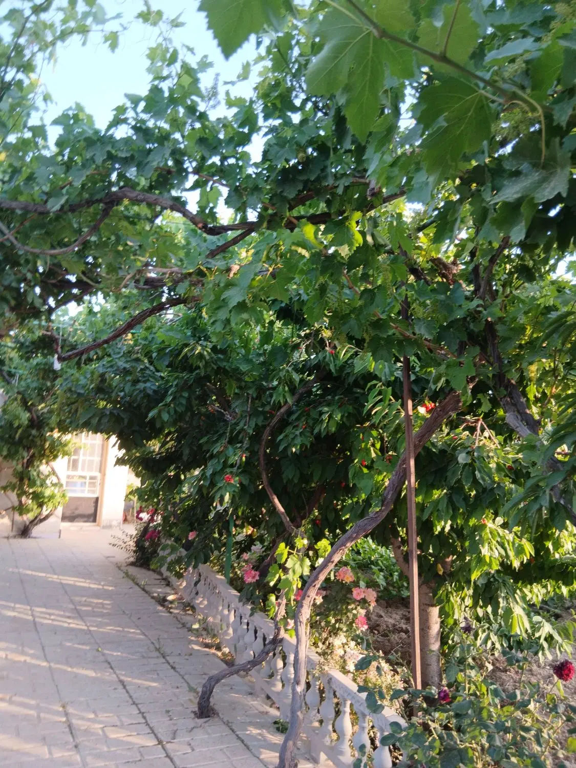 ویلا باغ مرزیجران