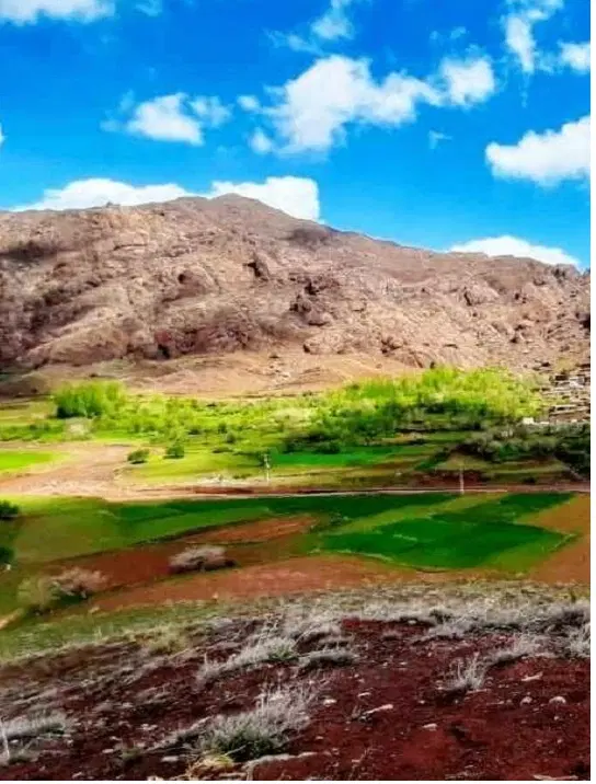 هزار مترمربع - ابتدای جاده شاندیز مشهد
