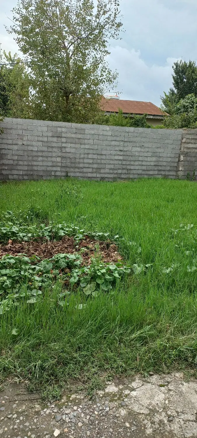 زمین مسکونی