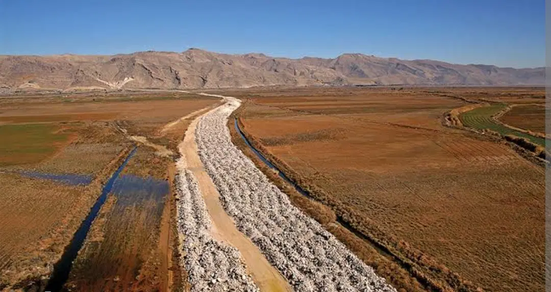 زمین گردخون