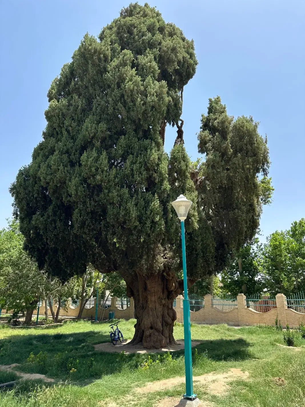زمین دردشت