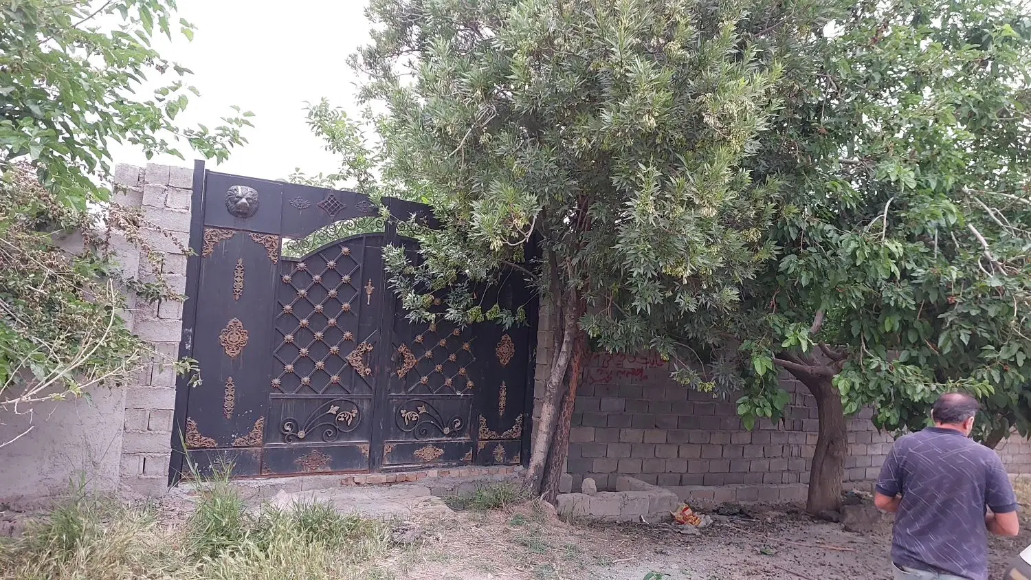 باغ و باغچه در متراژهای مختلف