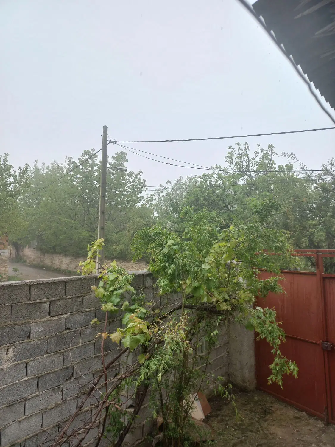 اجاره خانه ویلایی
