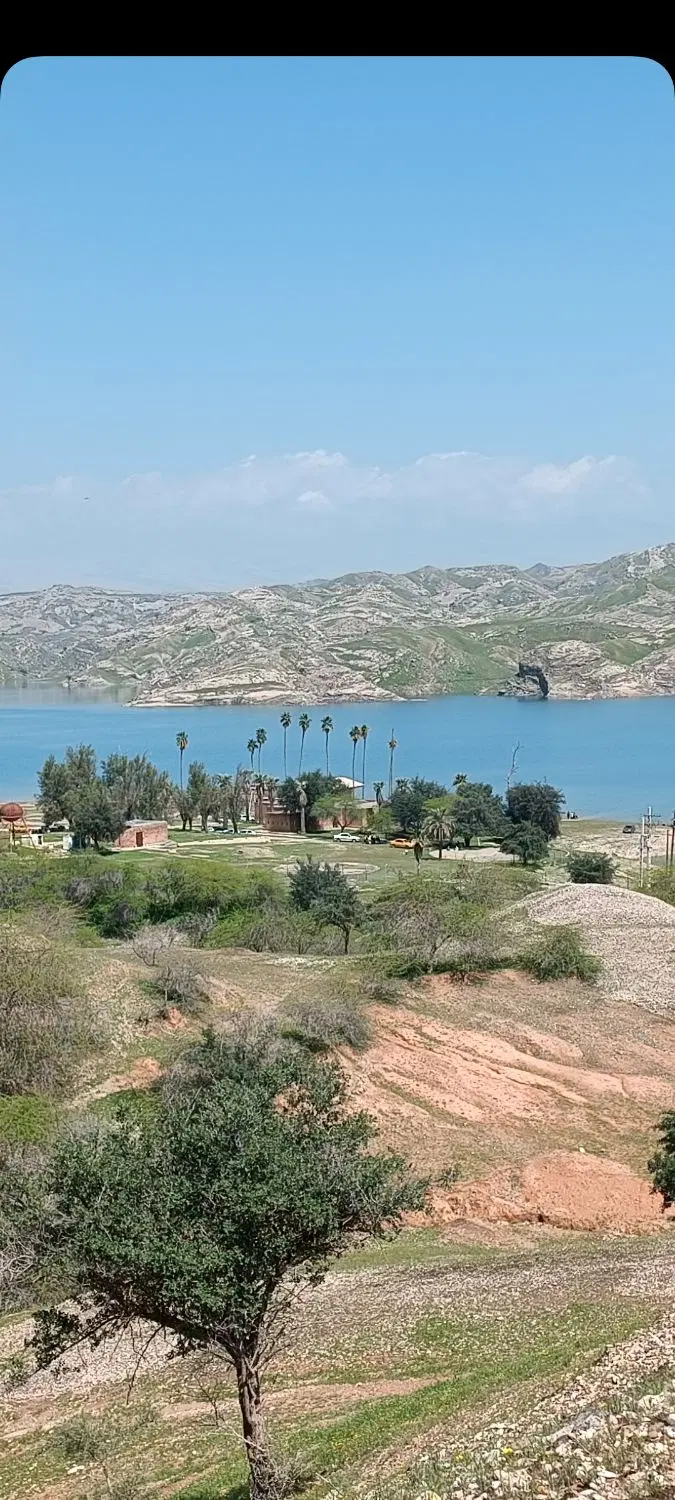 فروش باغ