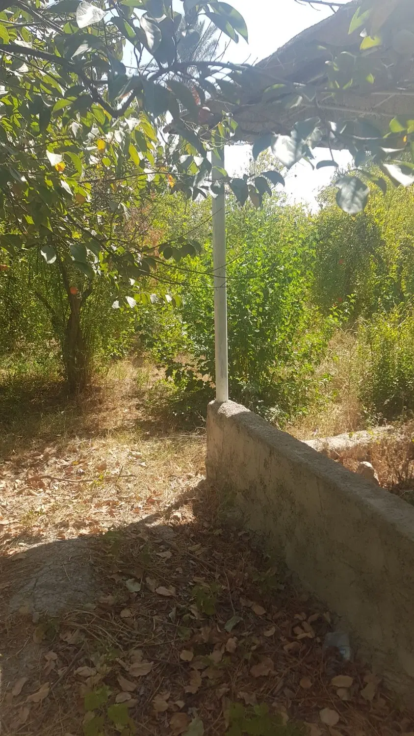 باغچه