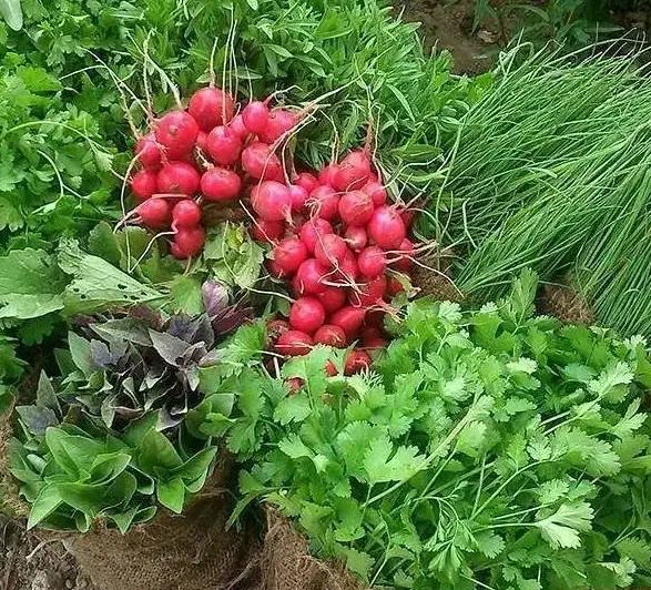 غرفه روزبازار