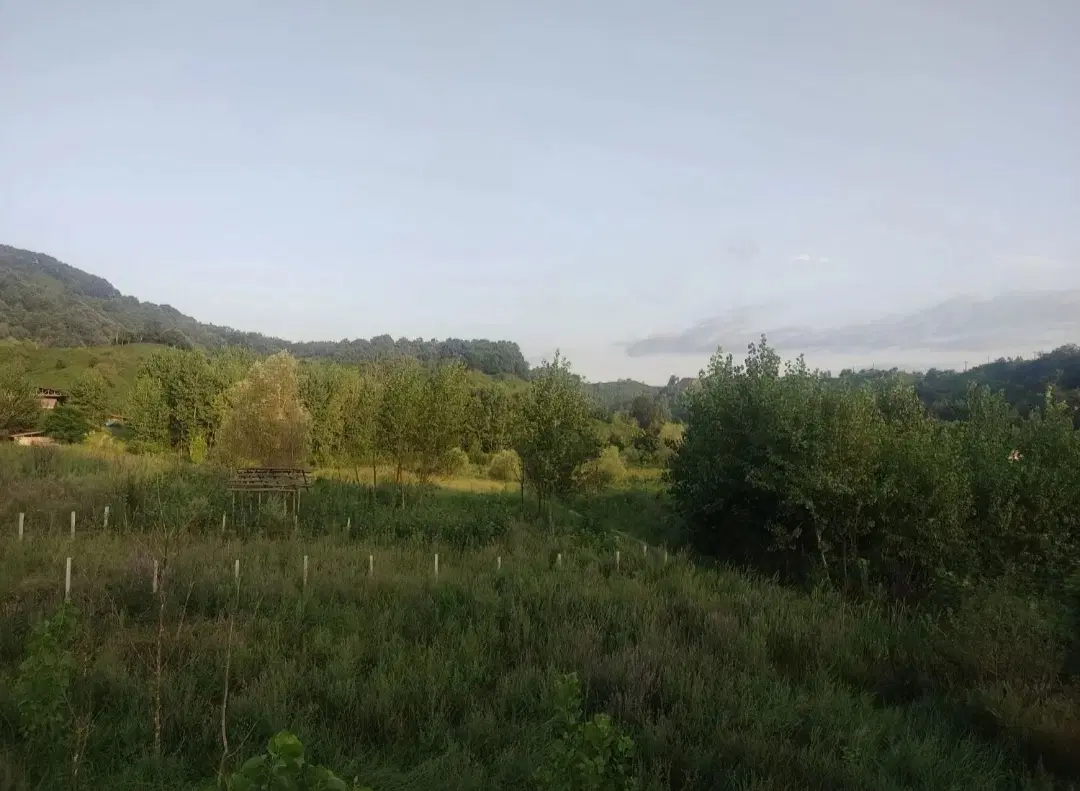 زمین کتشال بالا خیابان سعدی