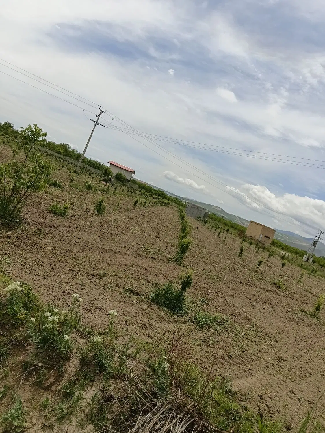 زمین کشاورزی برا اجاره