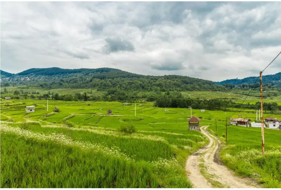اجاره ویلا در شیرگاه لفور روستای درزیکلا