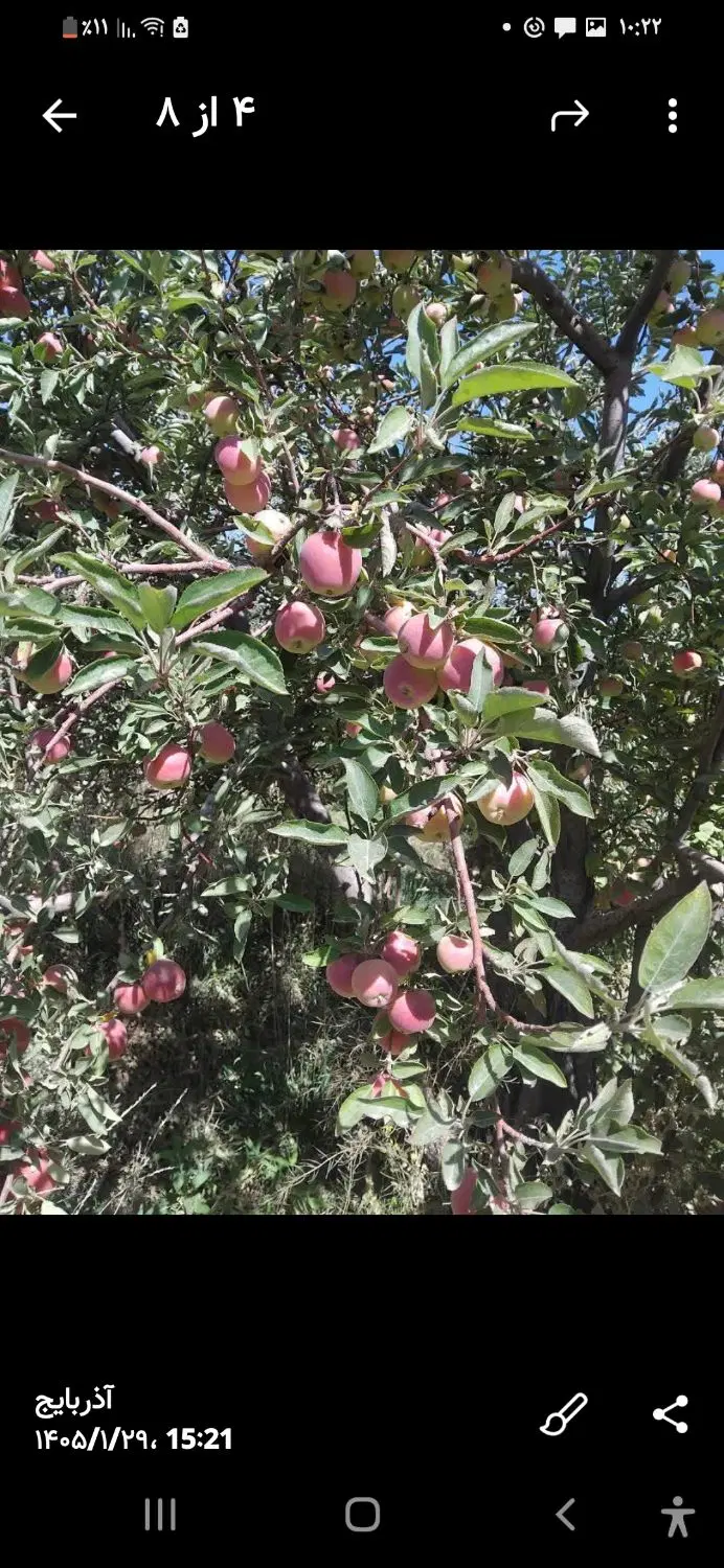 یک قطعه زمین کشاورزی
