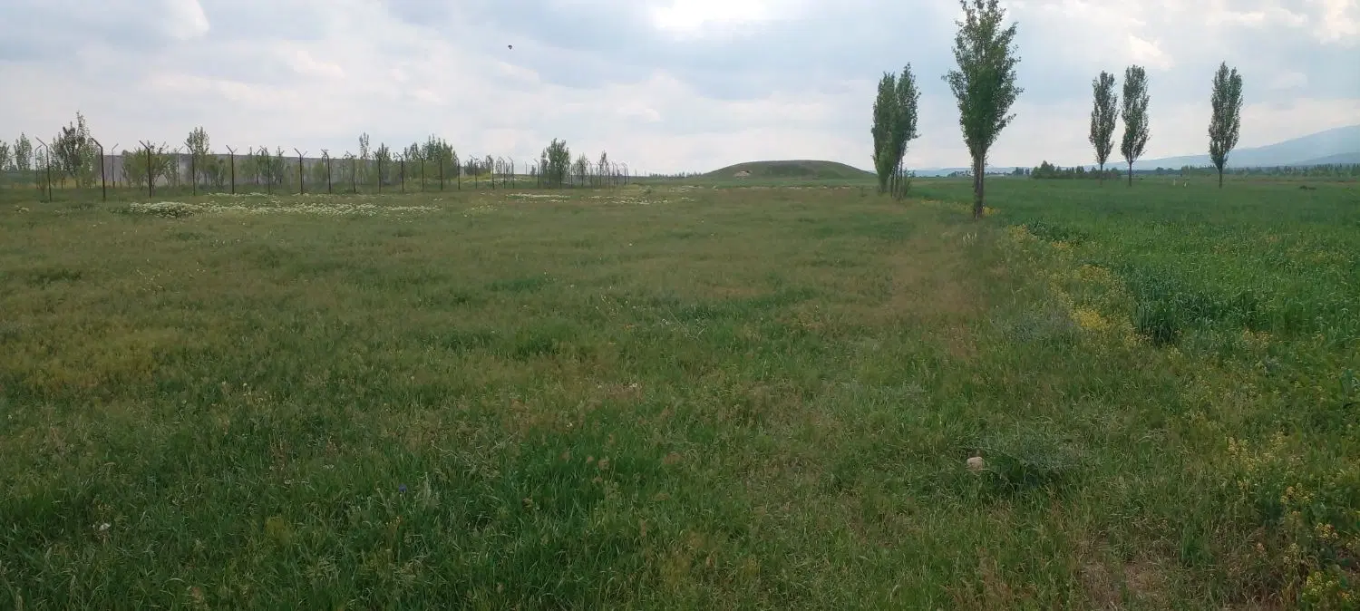 فروش زمین در روستای امیچه