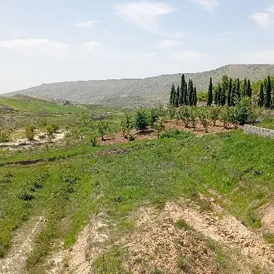 زمین تجاری