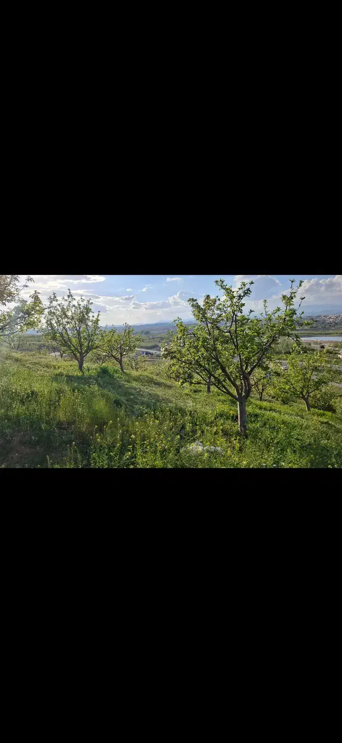 باغ قطره ای دراهر