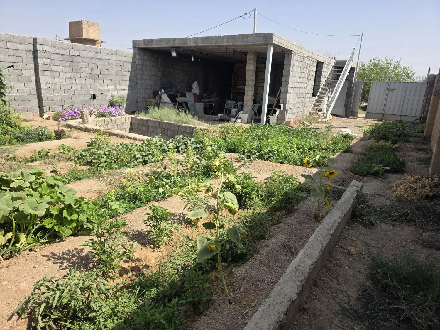 باغچه باغ ویلا