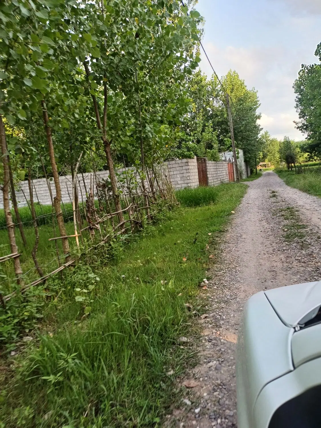 زمین کشاورزی