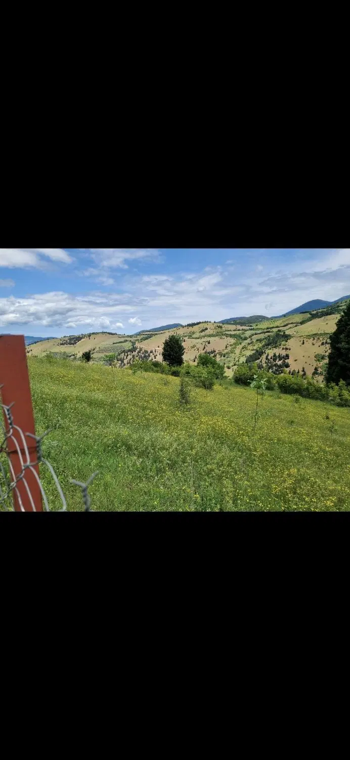 ۳۹۰۰مترمربع زمین کاربری گلخانه مختص کلیه باغ