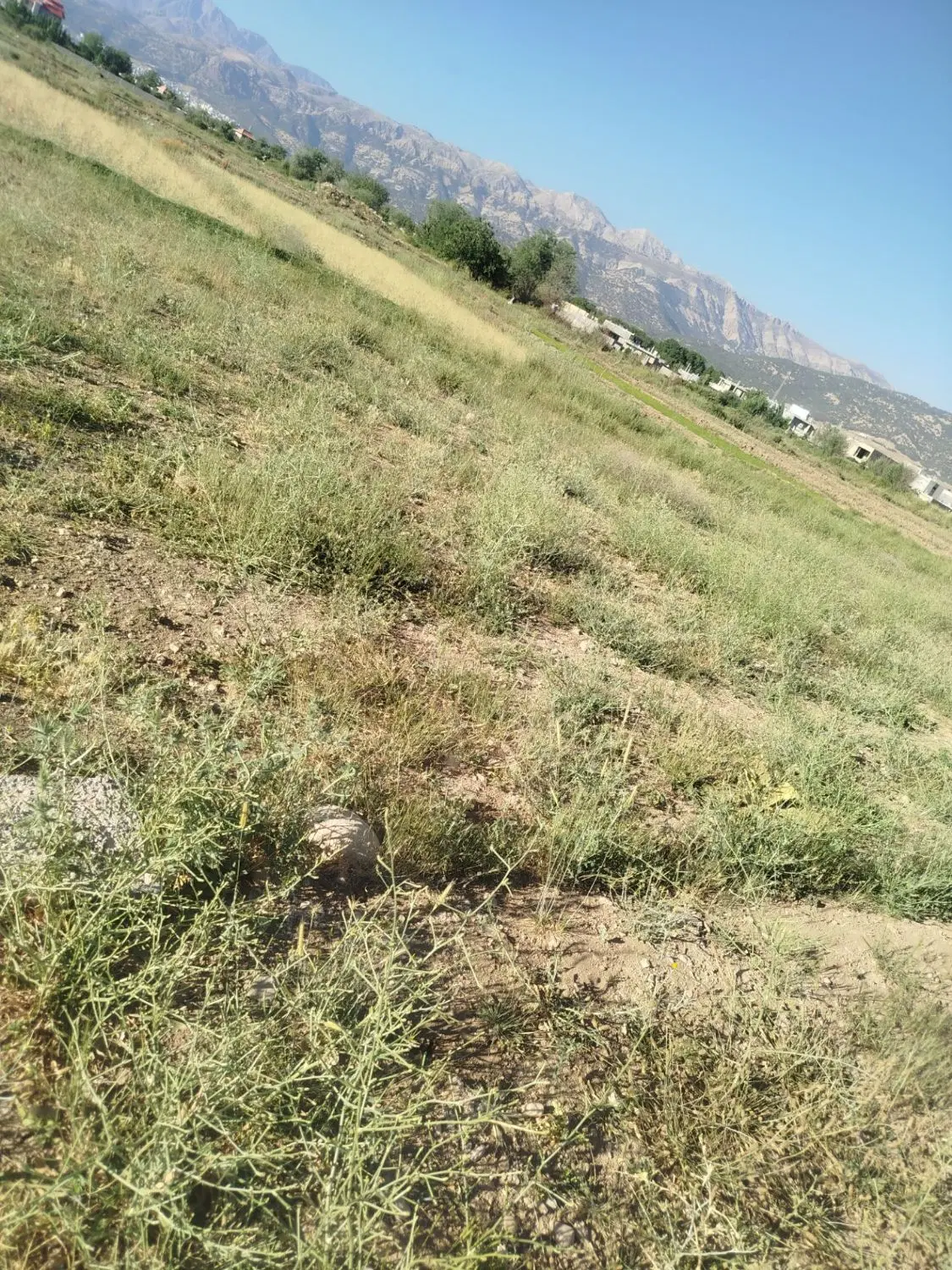 فروش زمین واگذاری پرستاران