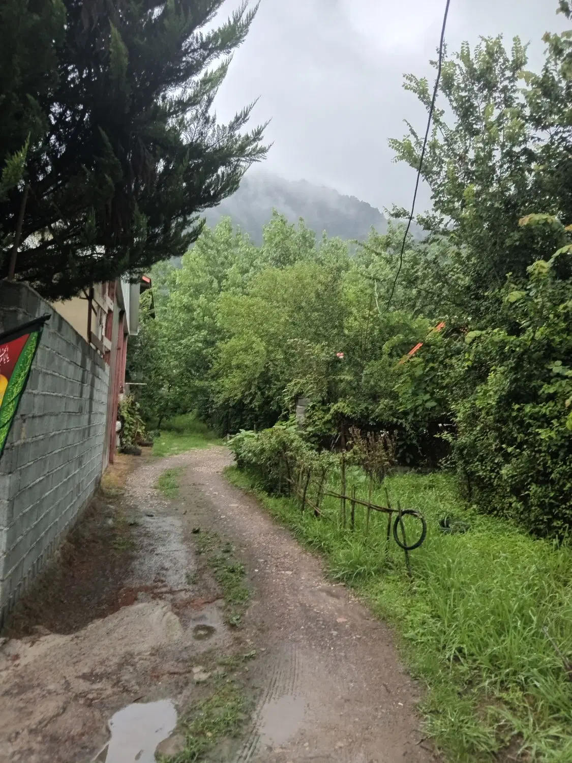 ۱۵۵ متر زمین باغی داخل طرح لیالستان