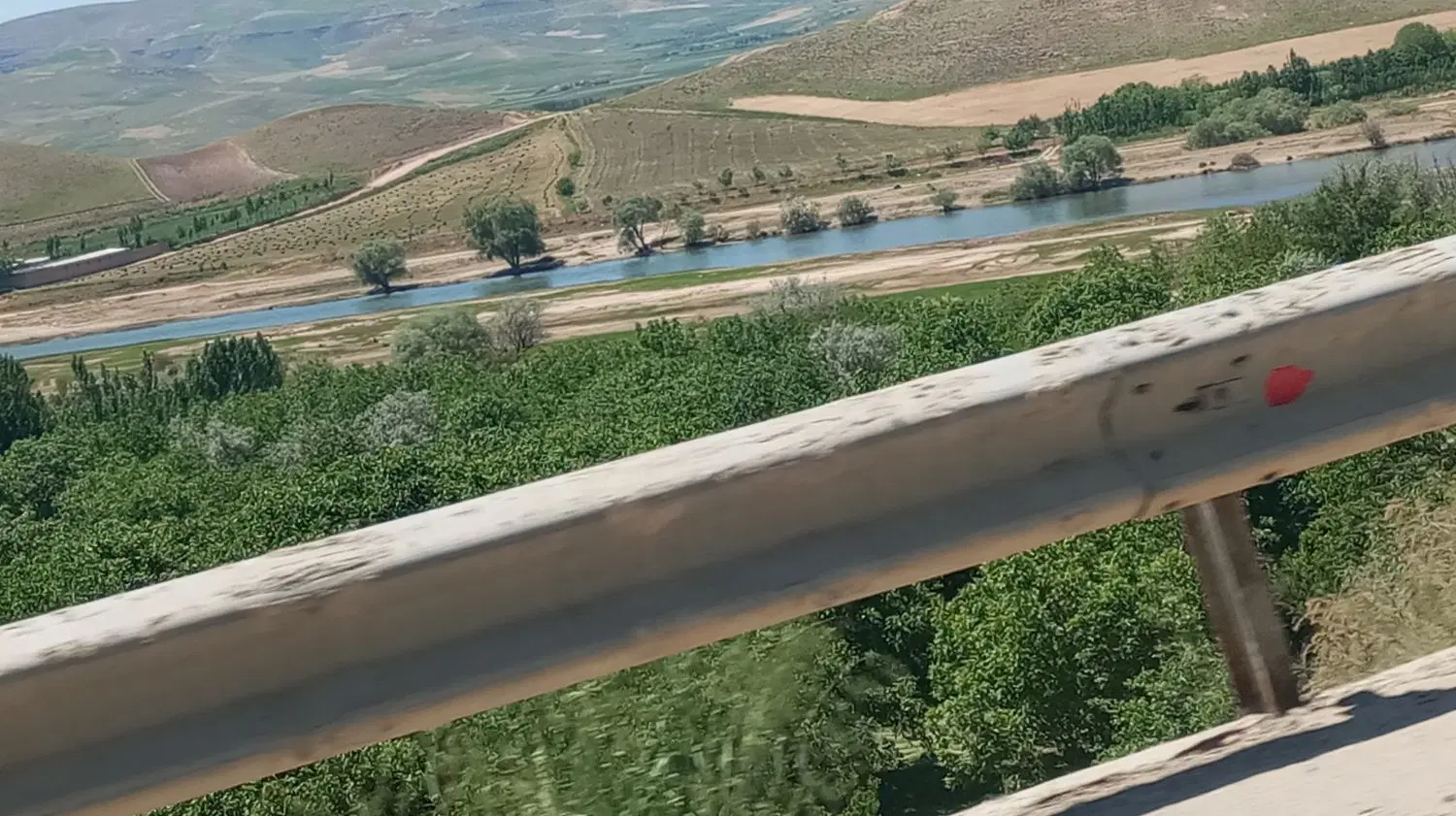 باغ با درختان شش ساله