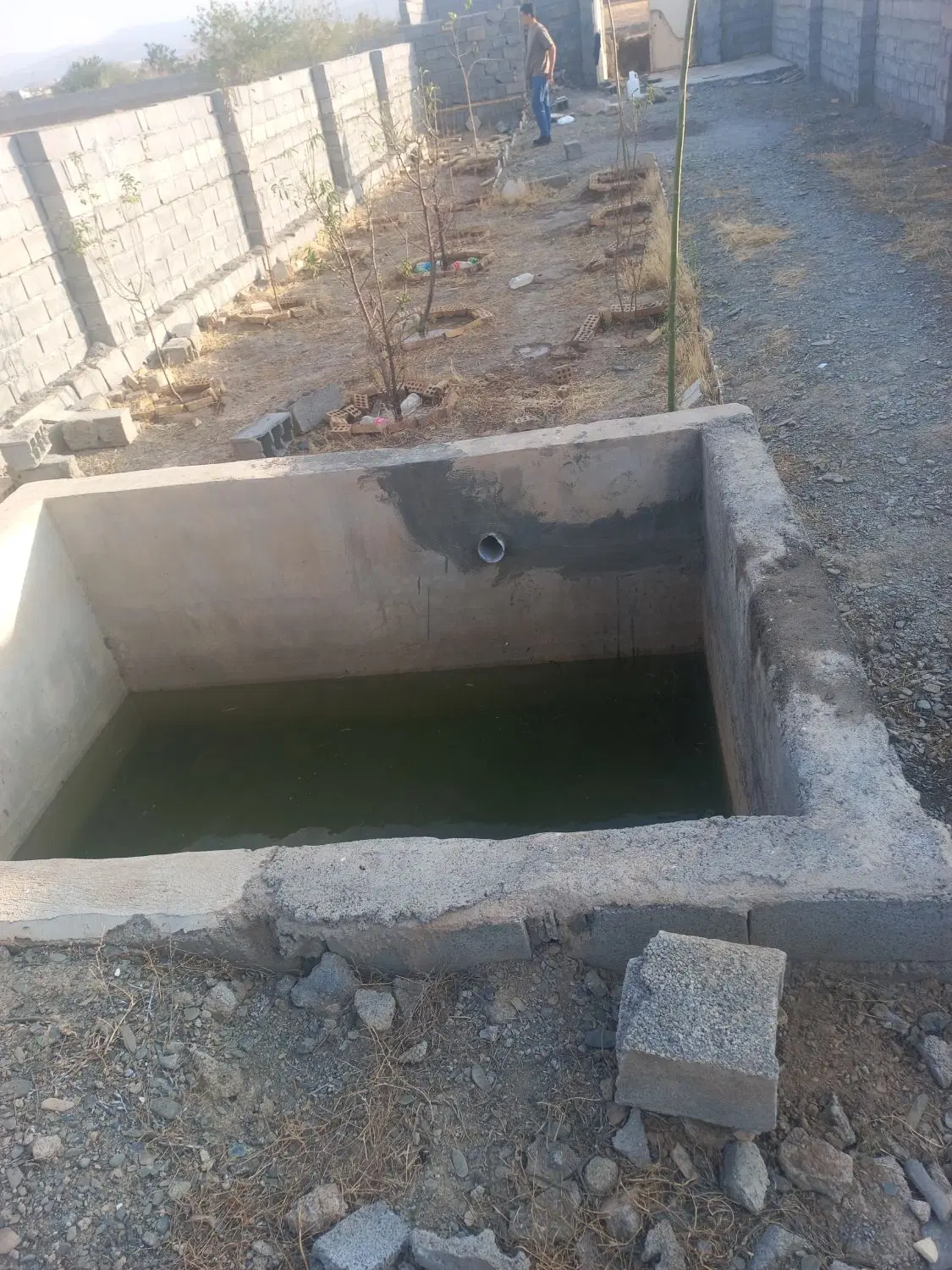 باغ  دور دیوار