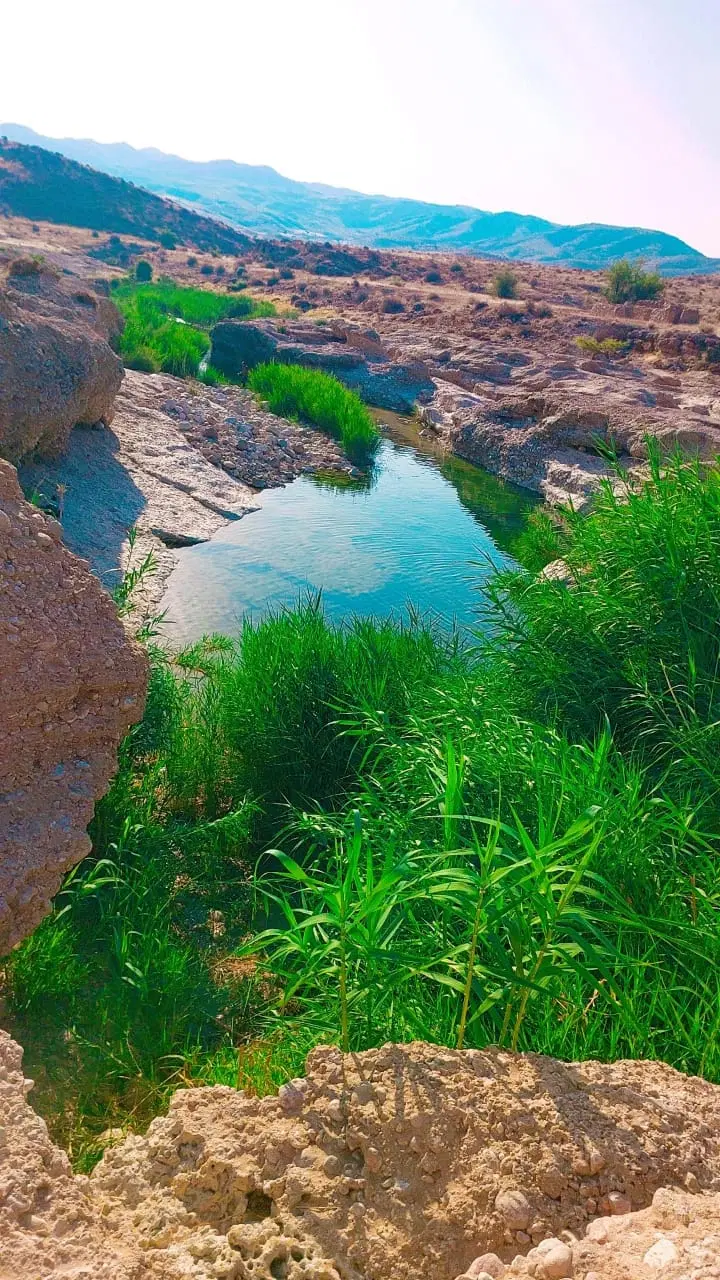 فروش زمین شهرک قمر بنی هاشم(نیکنیا) درب حیاط