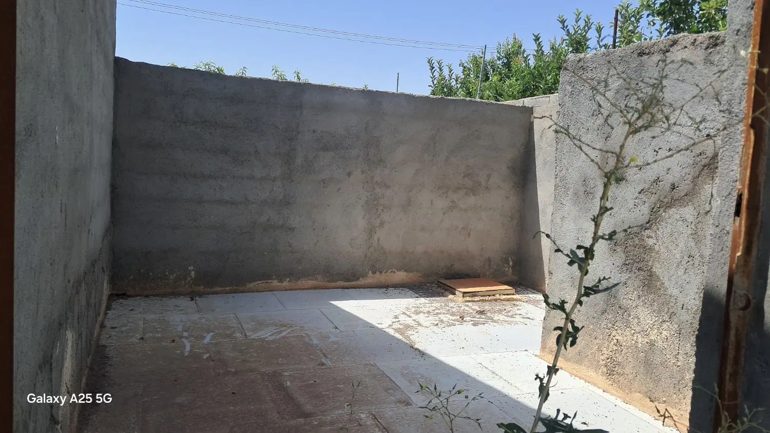 فروش باغ
