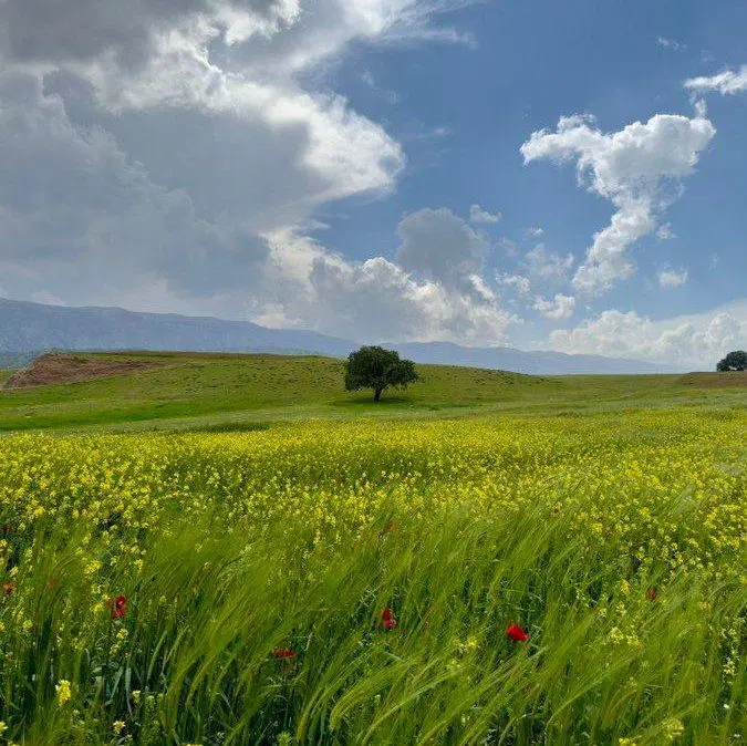 زمین شهیدبهشتی