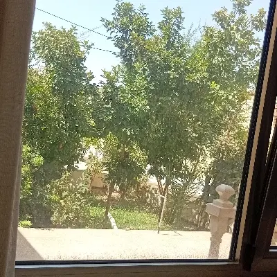 زمین