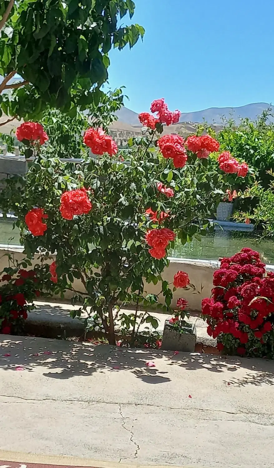 فروش باغ درجاده قلیان