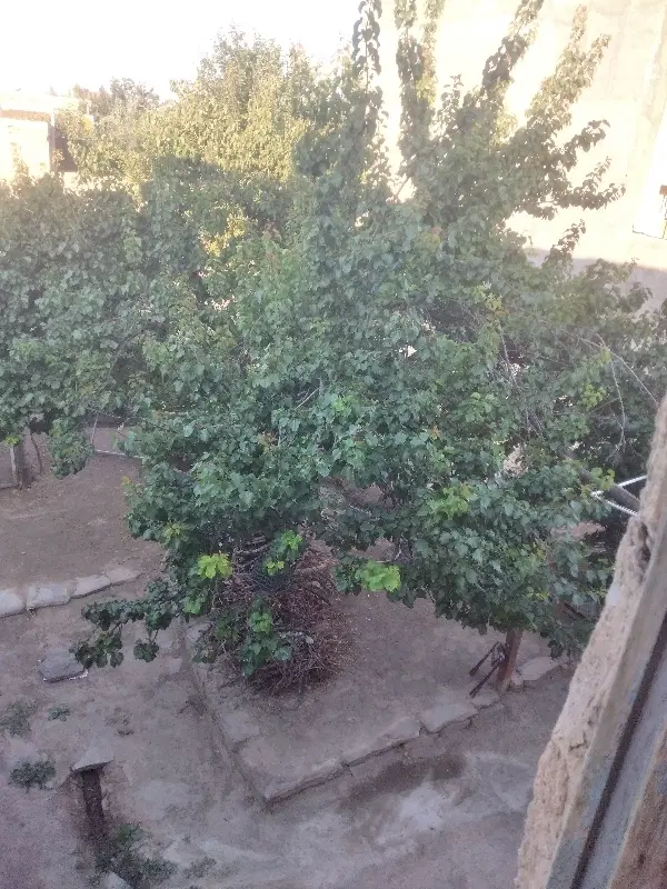 فروش زمین مسکونی درگلپاشین (گل پرچین)