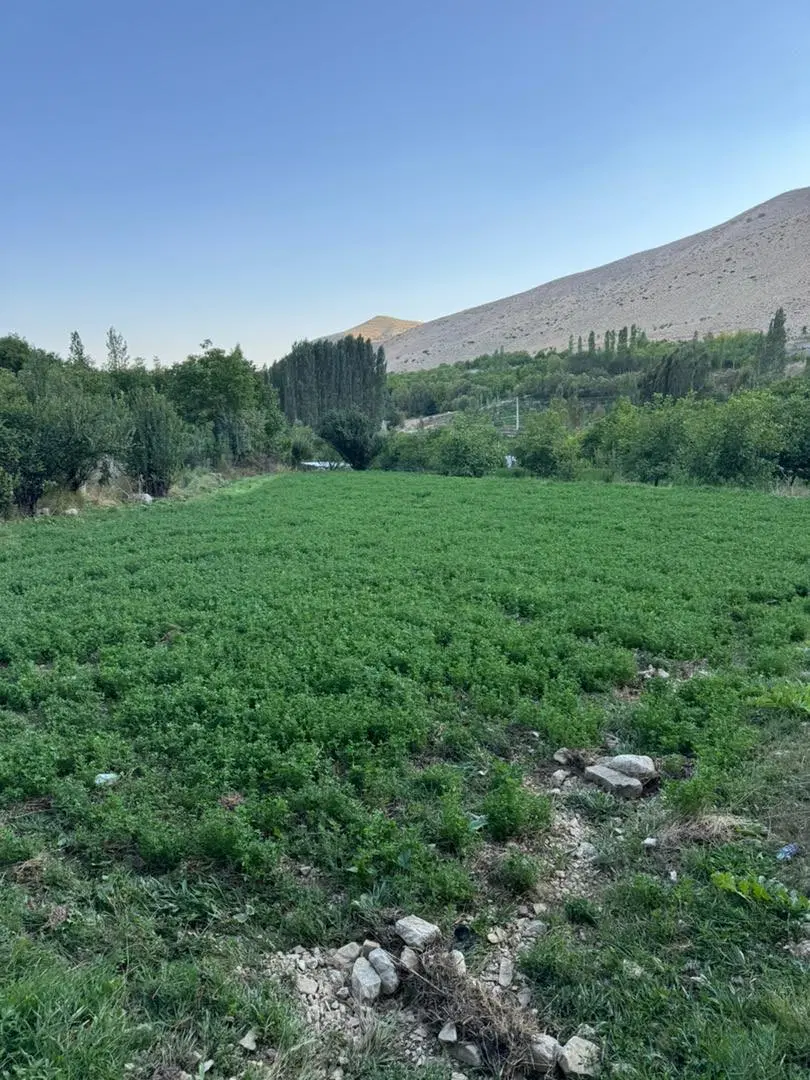 فروش زمین ۱۱۰۰ متری زیر قیمت منطقه