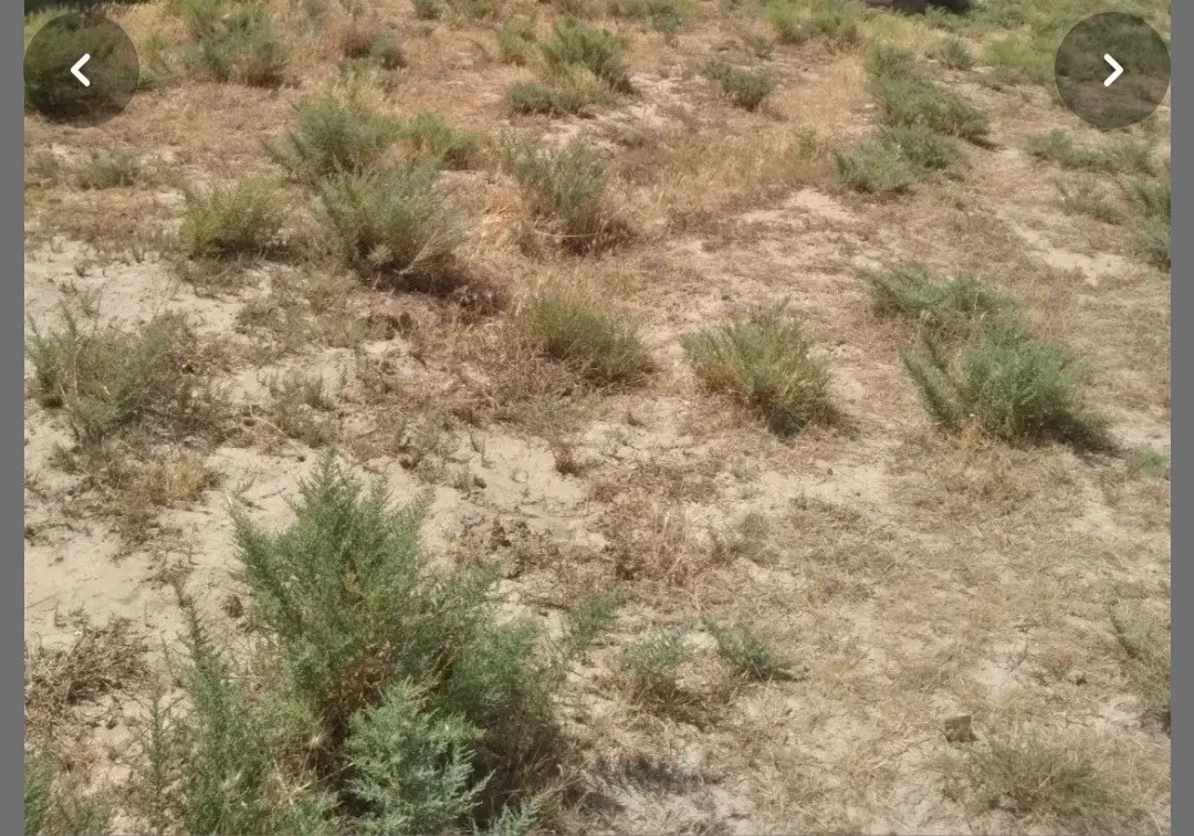 فروش زمین  مناسب ساخت سوله