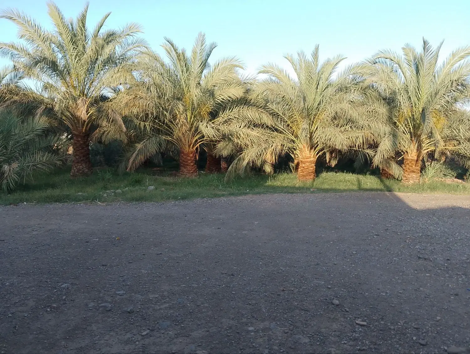 فروش خانه باغ