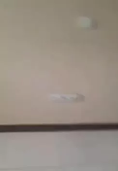 یکخواب بر فرهنگ